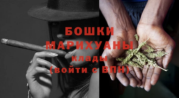 молекула духа Медногорск