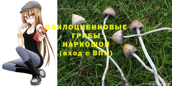 ALPHA PVP Медвежьегорск