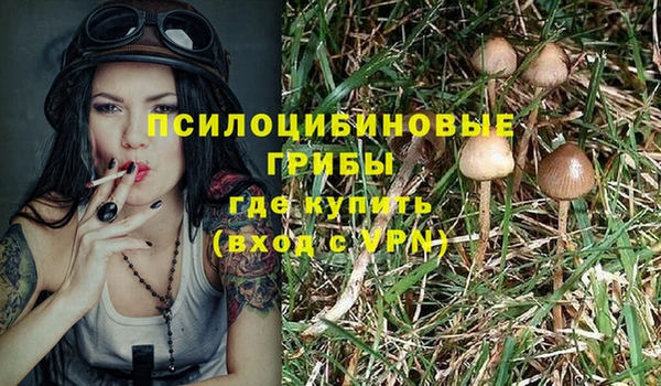 молекула духа Медногорск