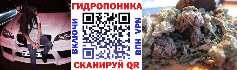 где купить наркоту  Ленинградская  Шишки марихуана марихуана 